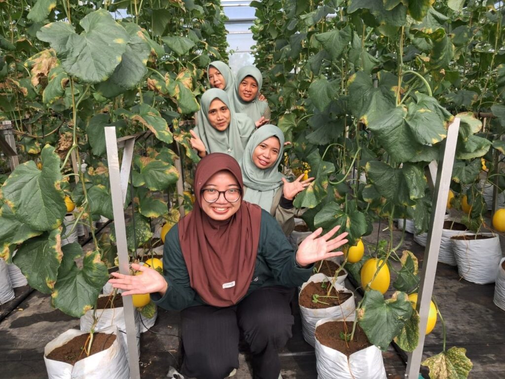 Ibu Dwi
